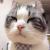 Leo進城務工 Leo進城務工