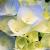 haiju_123 haiju_123