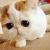 我是孙小猴