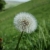 asdf08442a