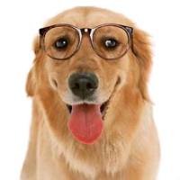 g.apache.ibatis.reflection.ReflectionException: