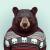 bear256