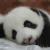 wri_cjh