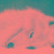 Beeman_xia