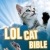 lolcat