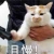 张小kou