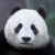 混沌恶 混沌恶