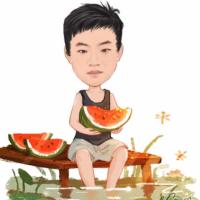 写代码的苏坡乔