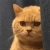 暗中观察 暗中观察