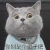 小小猪pig 小小猪pig