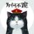 DullCat-c