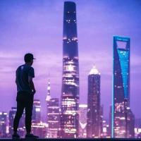 沙糖橘