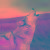osc_3764122