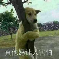 Acni