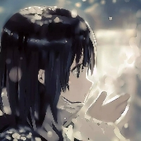 柳猫