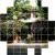 wo相信 wo相信