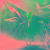 绯色约定