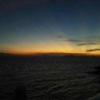 osc_31513168