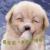vidy_tu vidy_tu