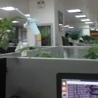 lookfuyao