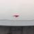大腿哥 大腿哥