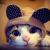 无名developer 无名developer