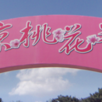 yunchan86