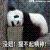 清水明月 清水明月