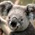 struts_hibernate_spr struts_hibernate_spr