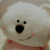 lncwwn