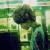 hackingluoluo