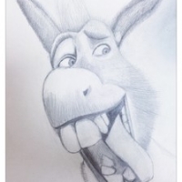 hurdonkey