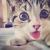 Alex_Hark Alex_Hark